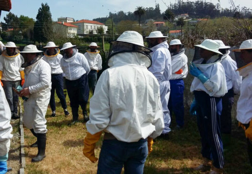 O Concello de San Sadurniño e a Casa do Mel ofrecen un curso de iniciación á apicultura durante o mes de maio
